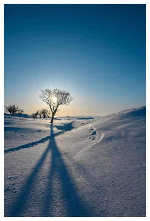 Snow Winter Nature Landscape