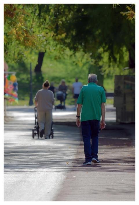 Walking Alley Park Nature