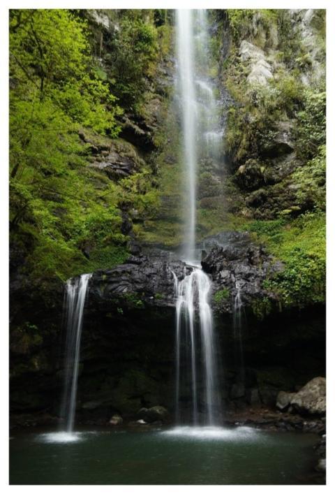 Waterfall Forest Nature Backpack