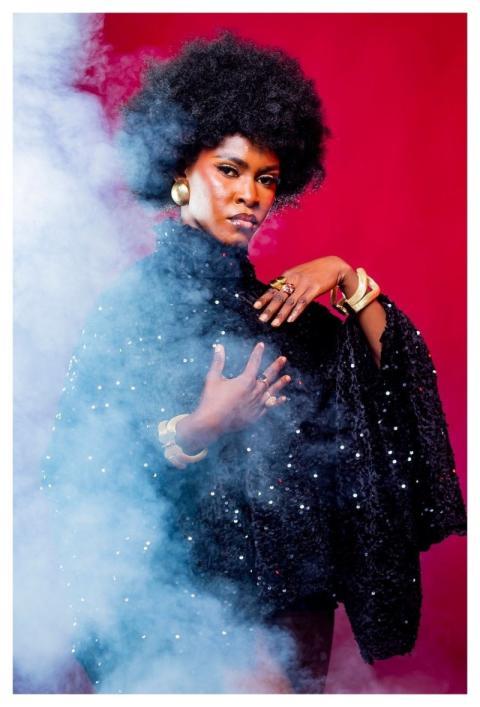 Afro Hair African Woman African Lady Natural Hair