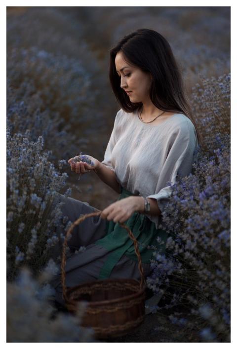 Lavender Nature Provence Purple