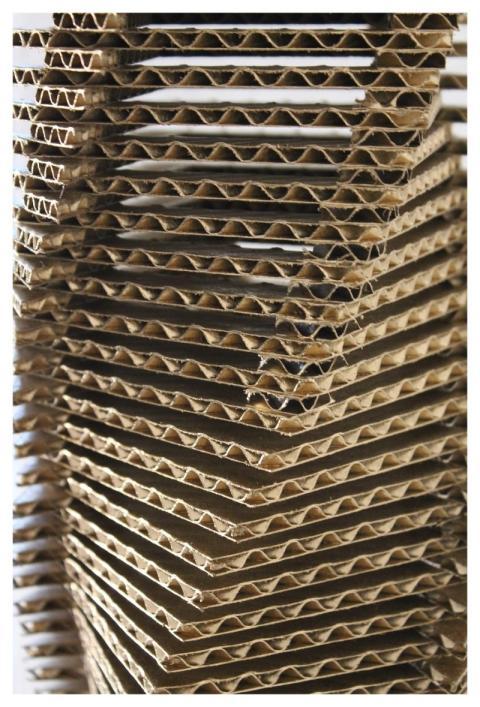 Carton Art Cardboard Pruzi