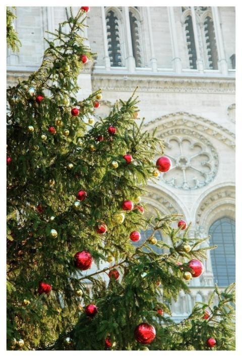 France Paris Church West Rose