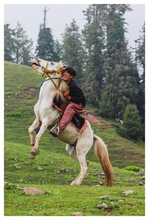 Horse Riding Man Green