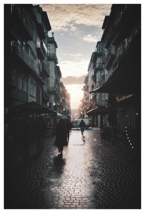 Porto Old Town Wet Street Cobblestone