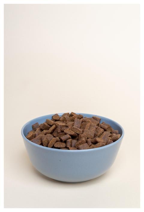 Dry Dog Food Dog Food Dog Kibble Kibble