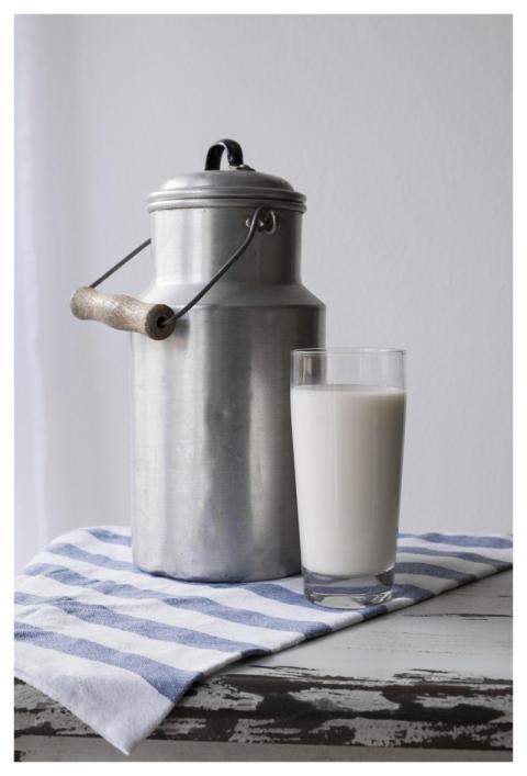 Milk Food Nourishment Drink