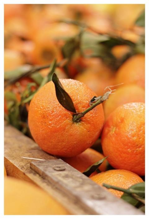 Fruit Orange Clementine Citrus × Aurantium