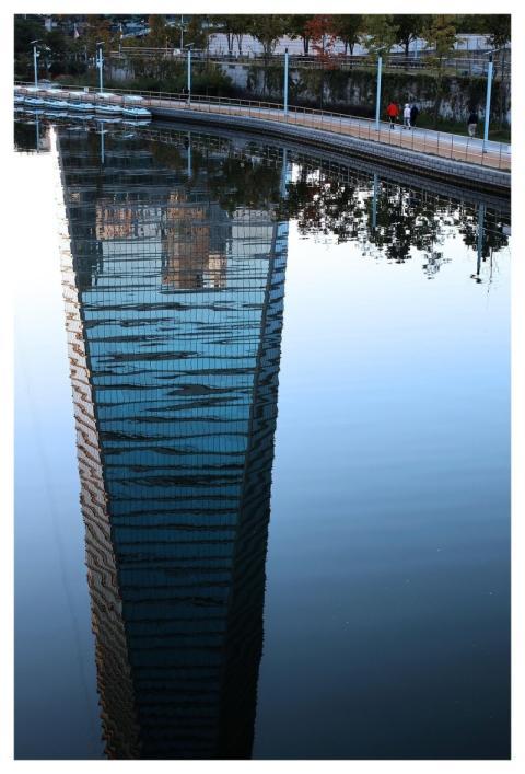 Lake Nature Tree Building