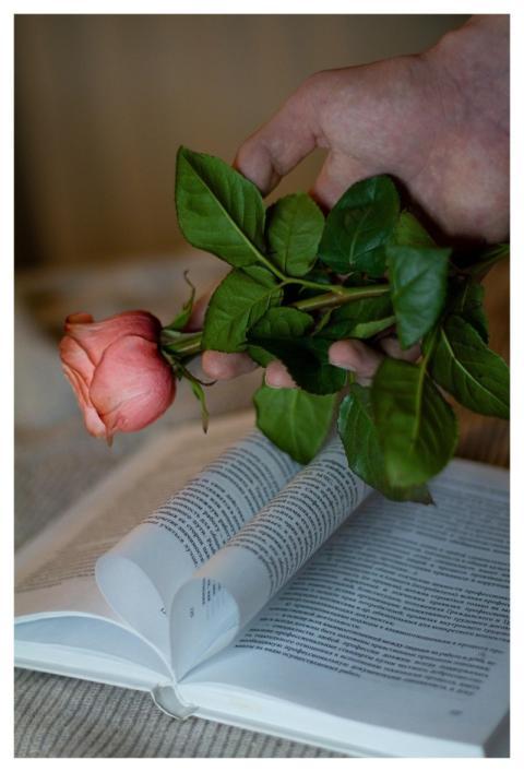 Rose Nature Flower Book