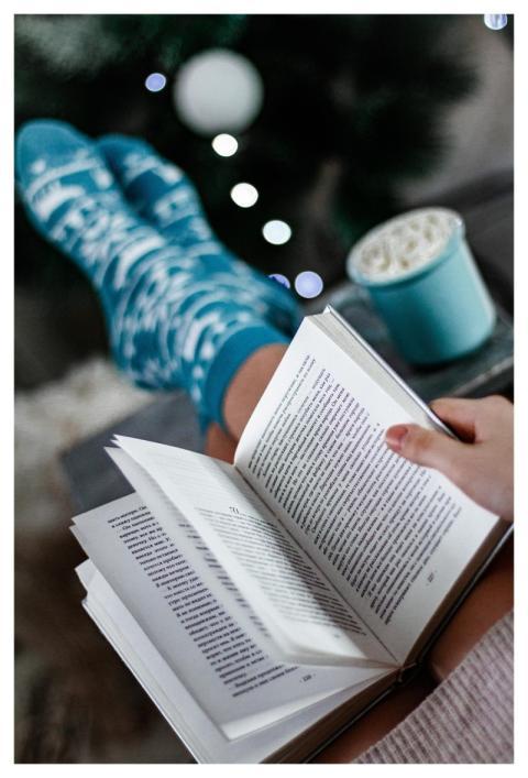 Book Library Home Relaxation