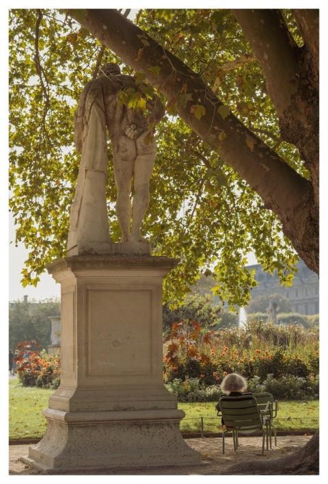 Tree Park Garden Outdoors