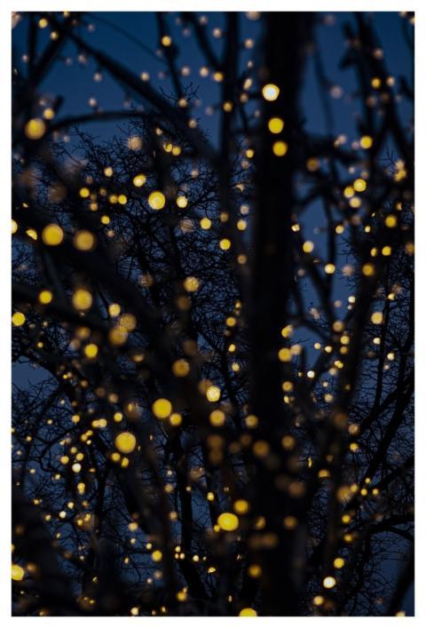 Street Lights Night City