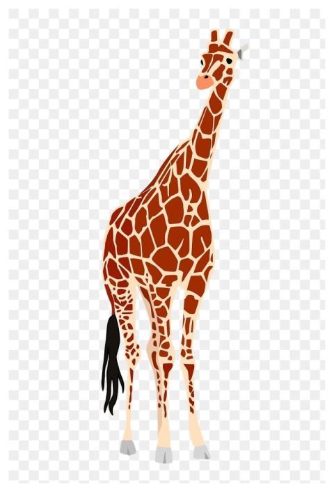 Giraffe animal png sticker illustration
