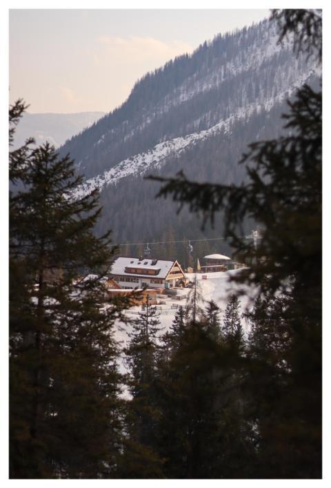 Restaurant Ski Area Nature Snow