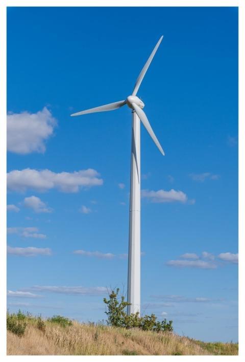 Wind Energy Pinwheels Wind Power Nature