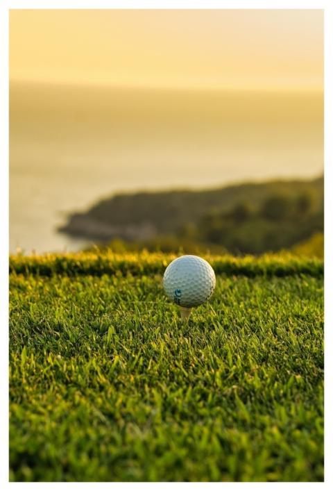 Golf Ball Golf Ball Close-Up