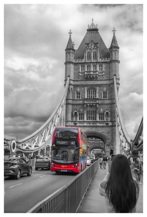 London Bridge Nature Bus