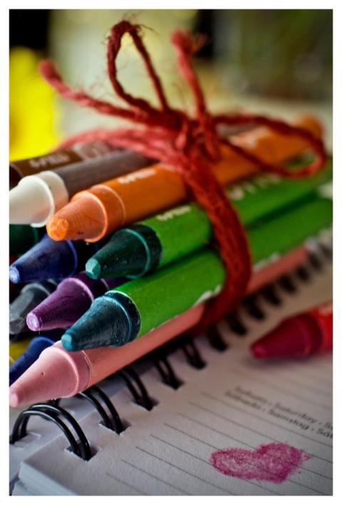 Crayons Colors Flower Creative