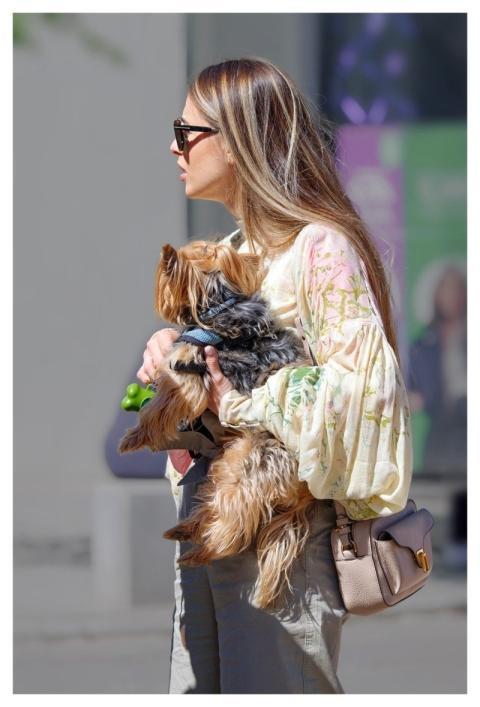 Woman Young Girl Casual Pet