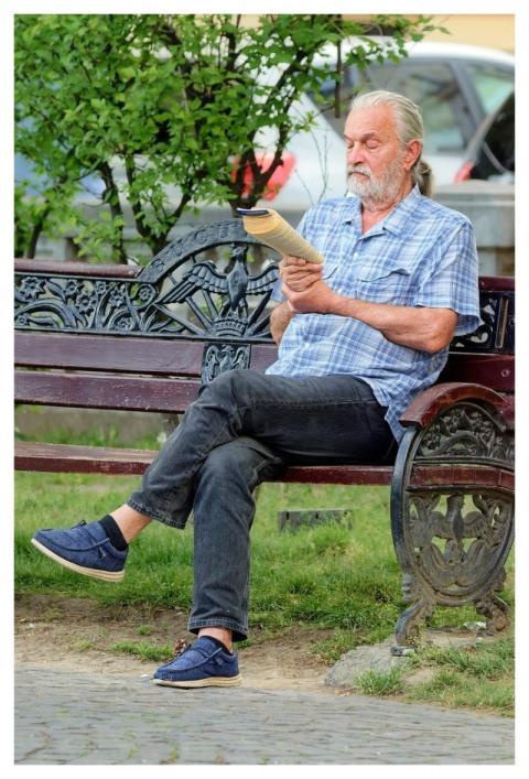 Man Elderly Beard Sitting