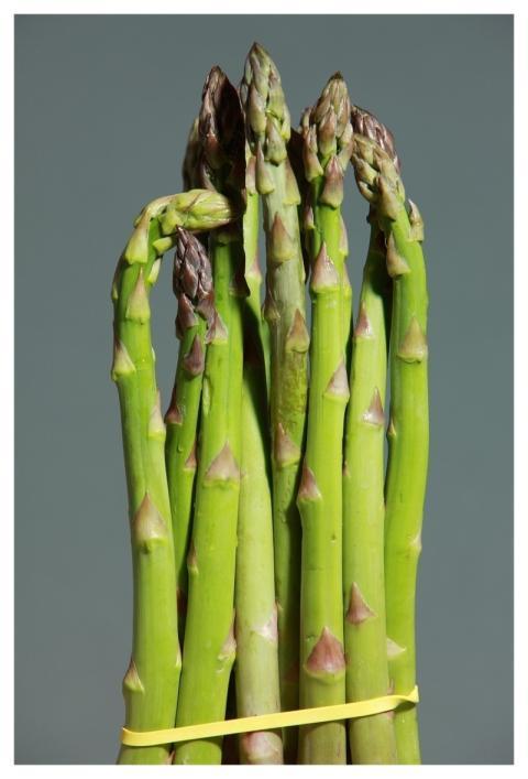 Green Asparagus Asparagus Green Vegetables