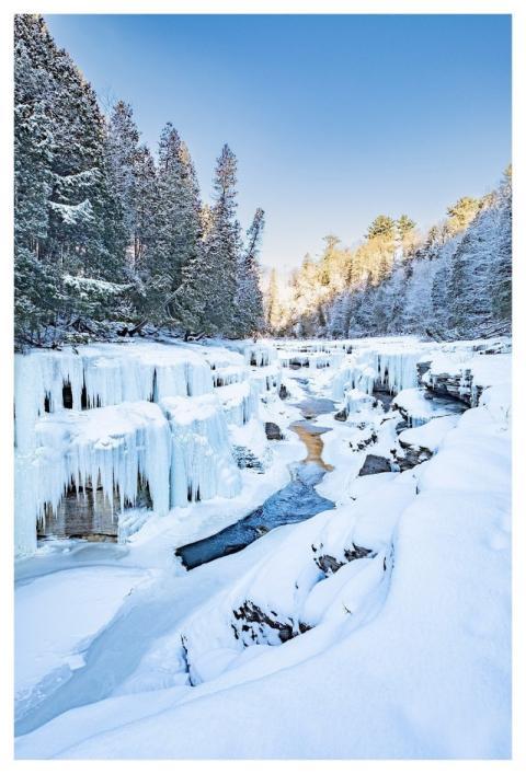 Mountains Trees Snow Forest