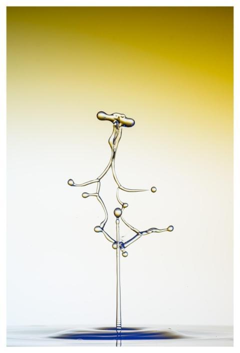 Water Water Drop Abstract Drip