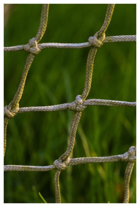 Net Soccer Goal Nature Grass