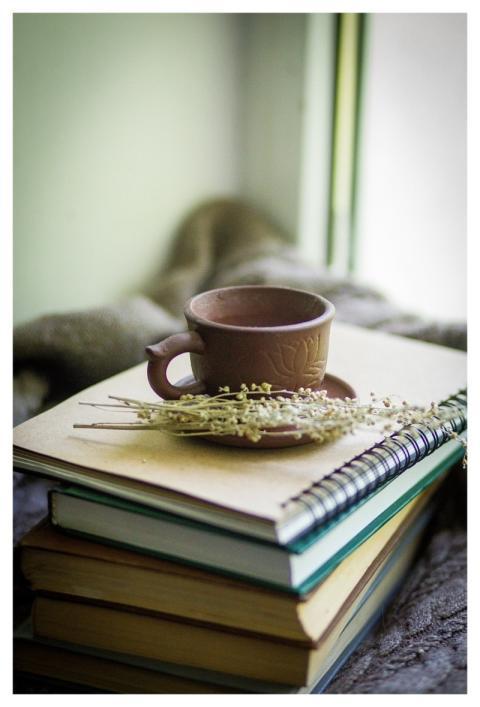 Books Cup Herbs Wormwood