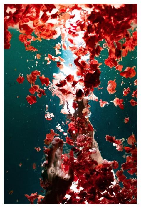 Abstract Nature Water Petals