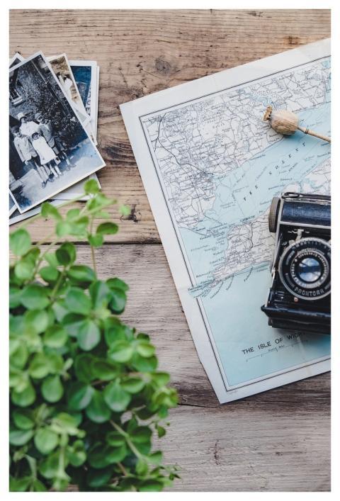 Camera Vintage Map Plant