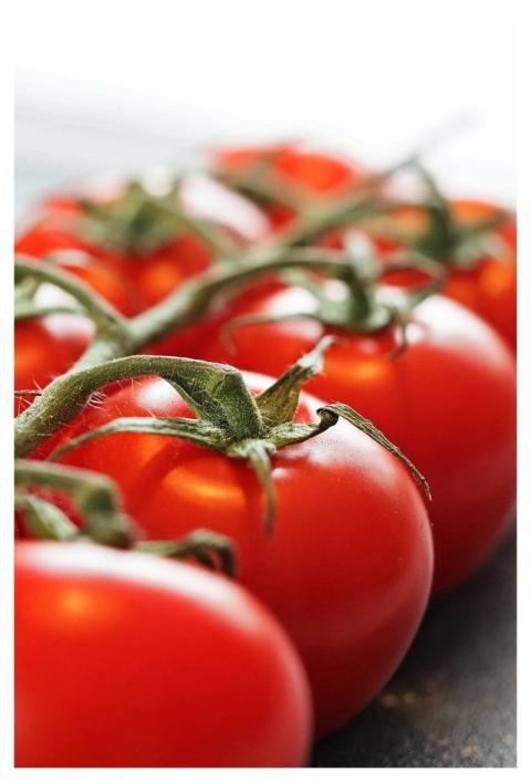 Tomatoes Vegetables Organic Fresh