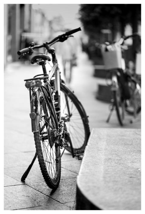 Bicycle Travel Transportation Adventure