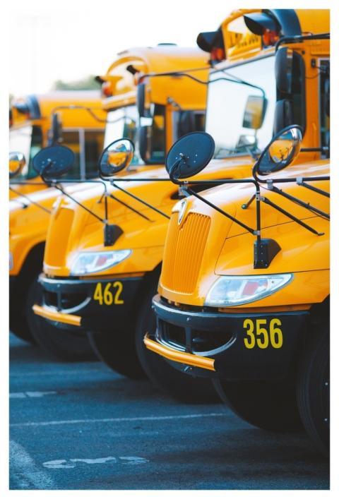 Bus School Bus Vehicle Transportation