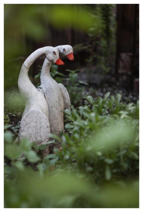 Birds Goose Nature Sculpture