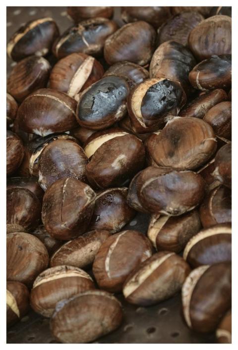 Chestnuts Roasted Aroma Food