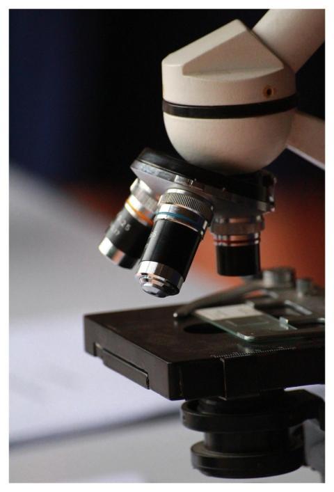 Microscope Beautiful Wallpaper Photomicroscope Ult