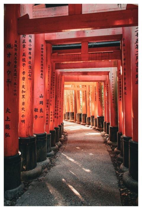 Shrine Torii Japan Fushimi