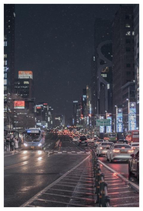 City Night View Crosswalk Nature