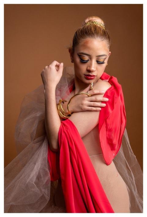 Woman Ballerina Dancer Beauty