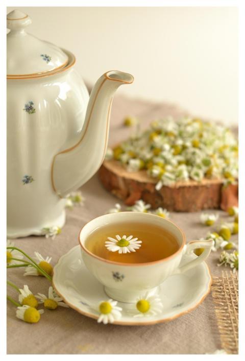 Tea Flower Wallpaper Flower Background Nature