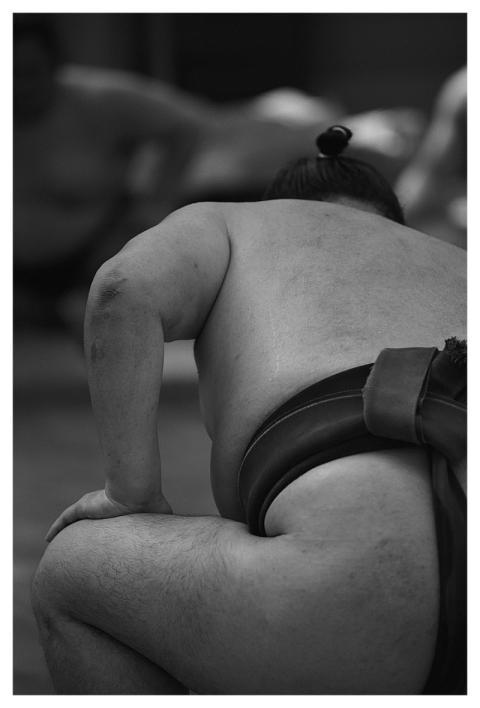 Sumo Wrestling Sport Power