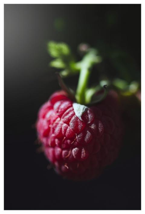 Raspberry Berry Fruit Food