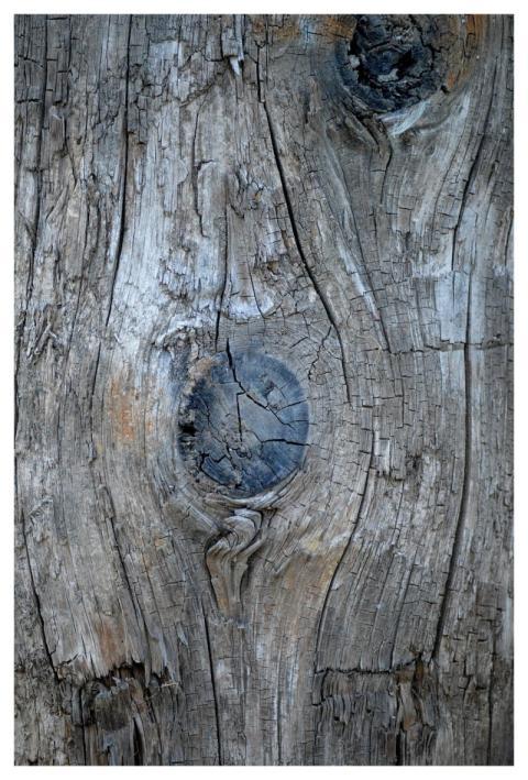 Tree Trunk Bark Beautiful Wallpaper Wood