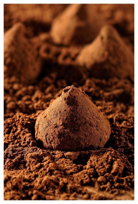 Truffles Cocoa Chocolate Delicious