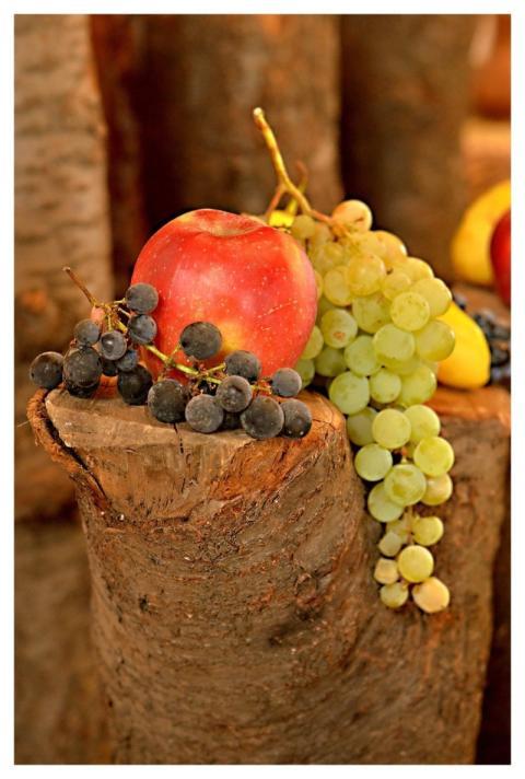 Fruit Blessing Crop Health