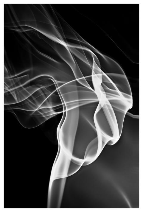 Smoke Dancer Smoke Dancer Female