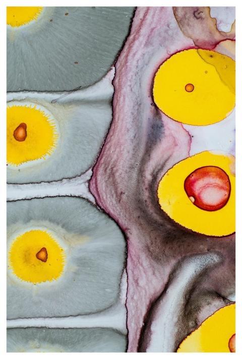 Abstract Beautiful Wallpaper Art Detail