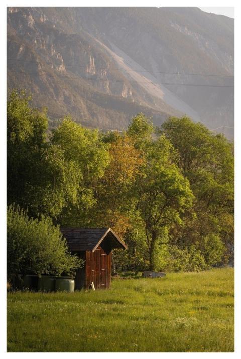 Hut Meadow Nature Field